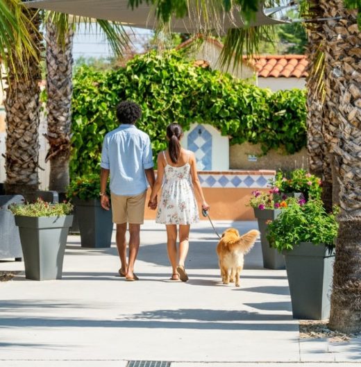 Vacances&#x20;en&#x20;camping&#x20;100&#x20;&#x25;&#x20;pi&#x00E9;ton&#x20;&#x00E0;&#x20;argel&#x00E8;s&#x20;sur&#x20;mer&#x20;&#x3A;&#x20;pourquoi&#x20;r&#x00E9;server&#x20;d&#x00E8;s&#x20;l&#x2019;hiver