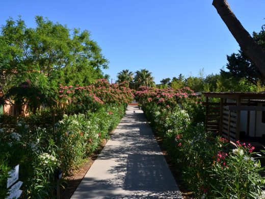 Location Argelès-sur-Mer au camping La Pinède Enchantée