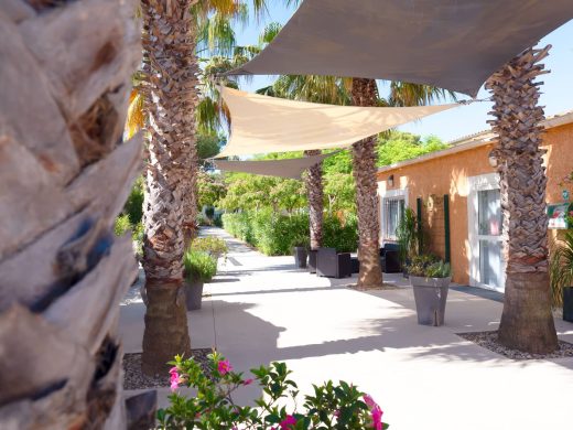 Camping 3 étoiles à Argelès-sur-mer : l’histoire de la Pinède Enchantée